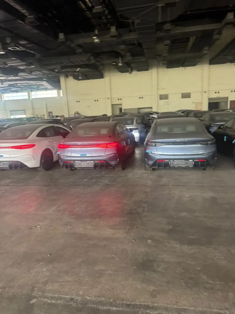 テールランプを点灯して横並びに駐車された3台の BYD Seal セダン