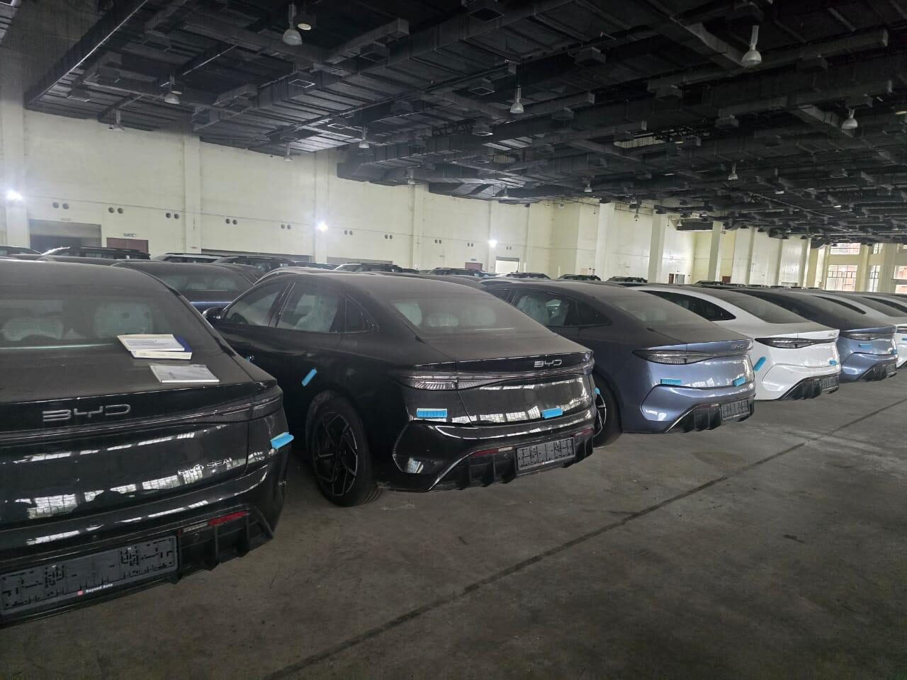 Rows of brand-new BYD Seal sedans in bonded warehouse Southeast Asia